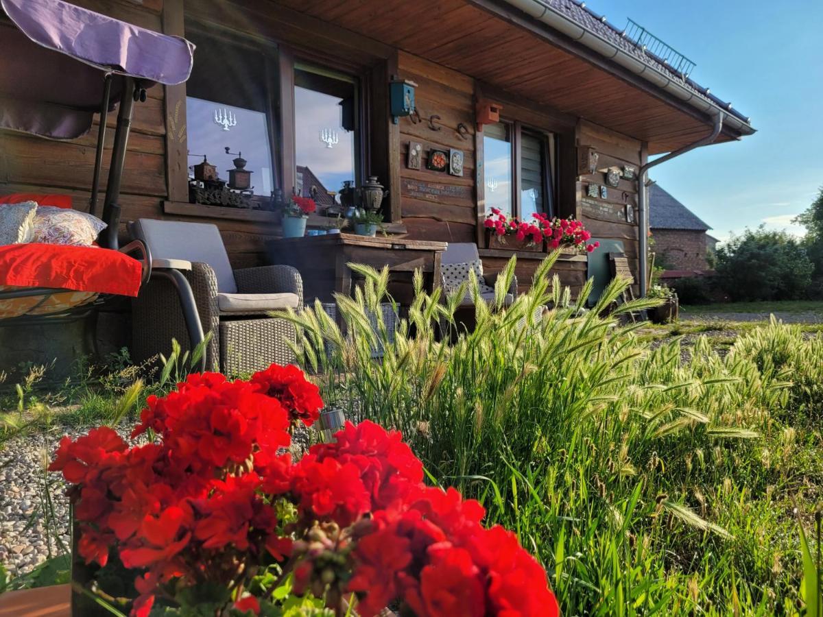 Dom Goscinny Ptaszarnia - Natura-Free Parking Swinoujscie Exterior photo