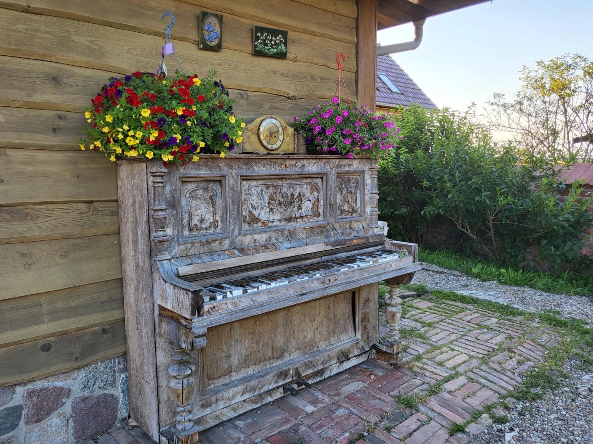 Dom Goscinny Ptaszarnia - Natura-Free Parking Swinoujscie Exterior photo
