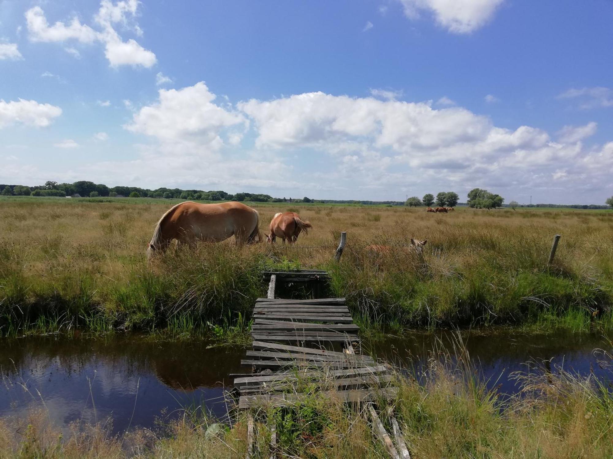 Dom Goscinny Ptaszarnia - Natura-Free Parking Swinoujscie Exterior photo